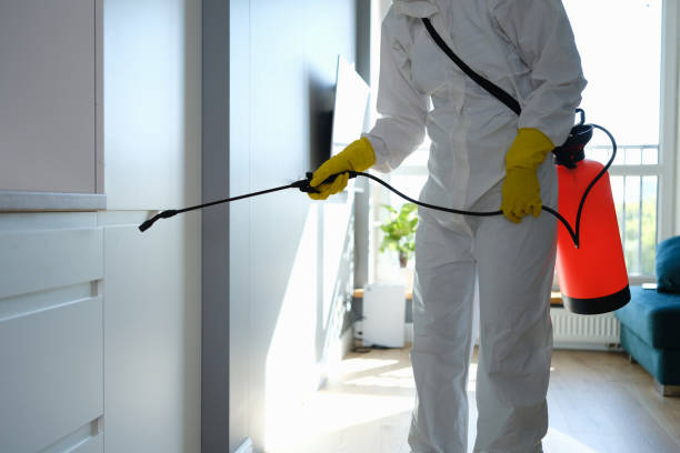 Forensic Mold Investigation in Temescal Valley, CA